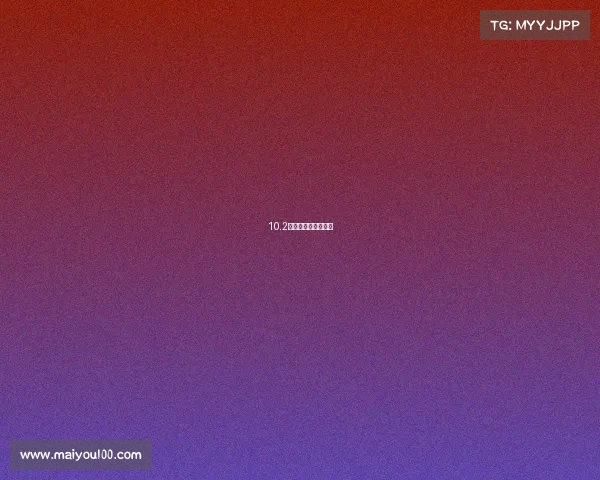 10.2中网赛事中网公开赛