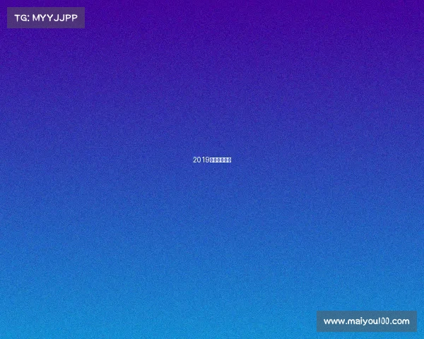 2019年世界赛八强